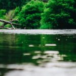 青苹果乐园:探索韩漫中的青春与梦想 3o2tp4