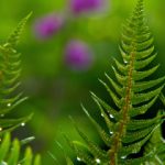 青苹果影视yy6090私人影院:畅享高清视听盛宴,尽情体验私人观影乐趣 6ni5pe2