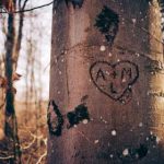 青苹果乐园韩漫:探索青春与梦想交织的奇幻世界 8ld7ollz