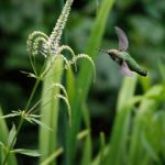 青苹果影院 漫画:探索青春与梦想交织的奇幻世界 mt57tz8ns